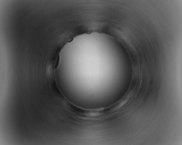 X0000094350575200711162032