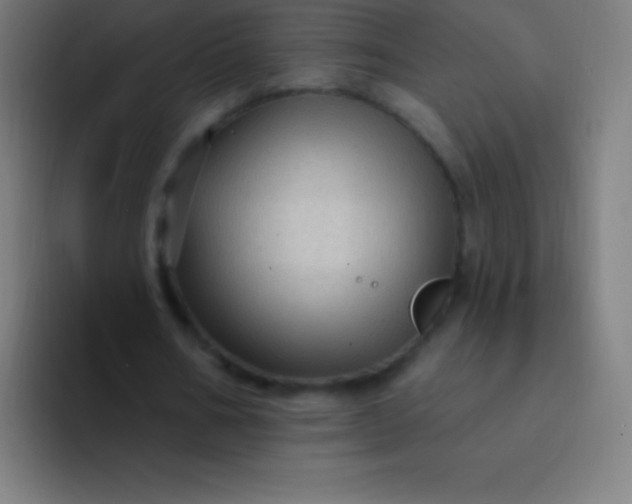 X0000094350578200711162032