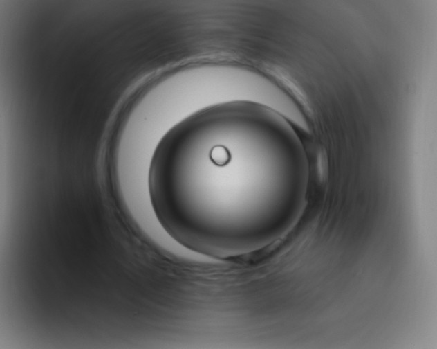 X0000094350579200711162032