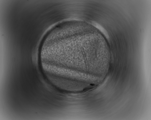 X0000094350580200711162032