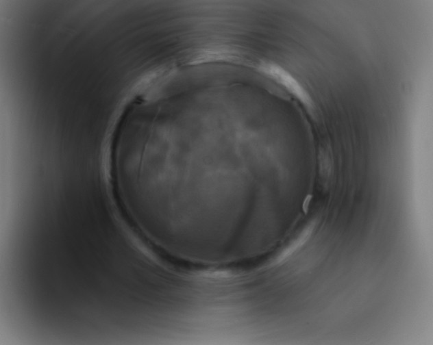 X0000094350581200711162032