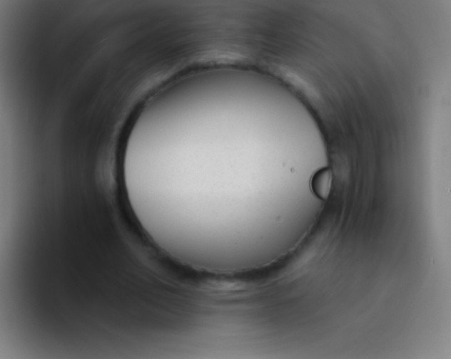 X0000094350582200711162031