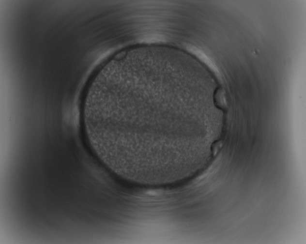 X0000094350584200711162031