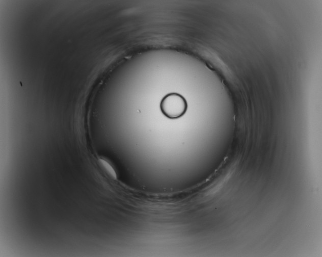 X0000094350585200711162031