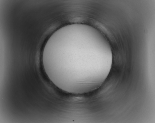 X0000094350586200711162031