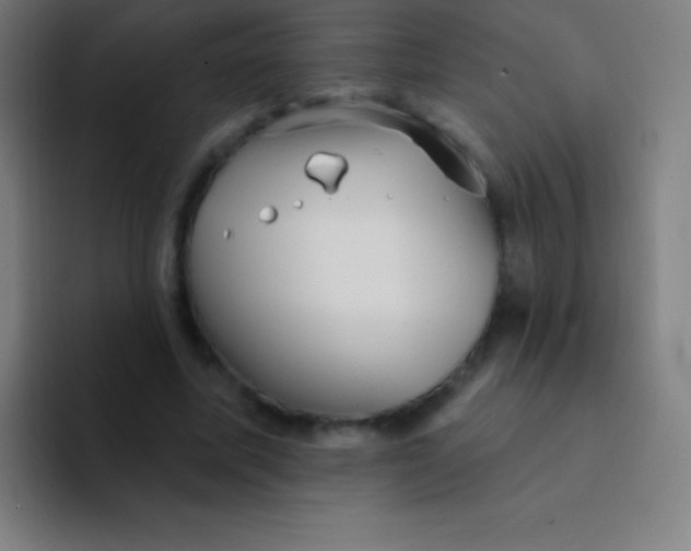 X0000094350587200711162031