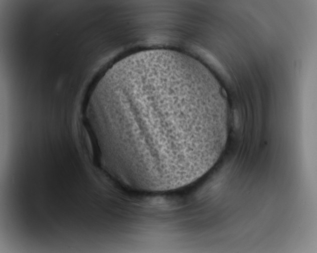 X0000094350588200711162031