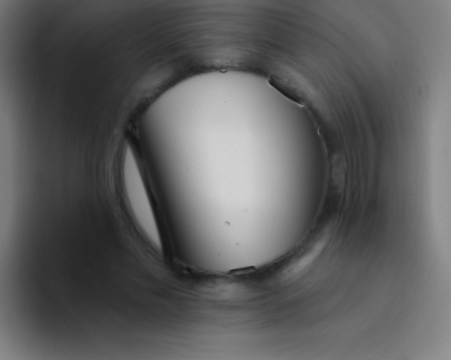 X0000094350589200711162031