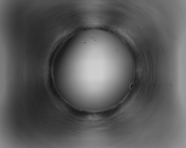 X0000094350591200711162031