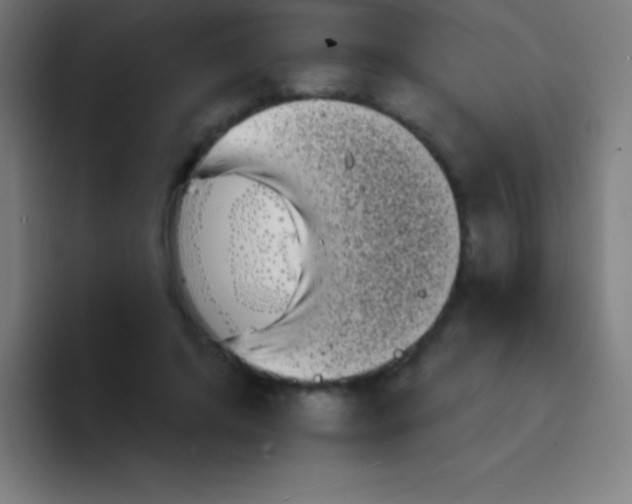 X0000094350592200711162031