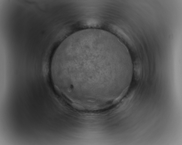 X0000094350593200711162031