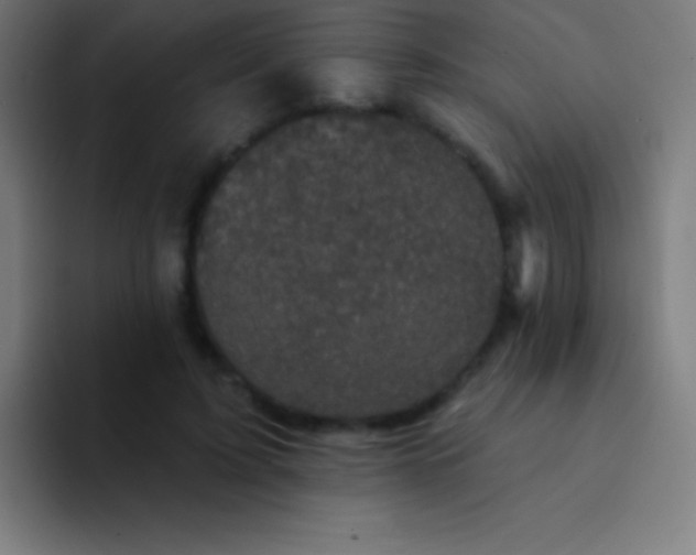 X0000094350595200711162031