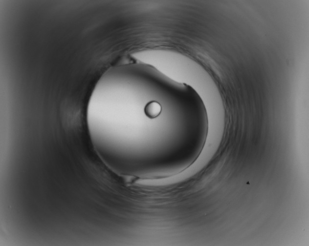 X0000094350597200711162031