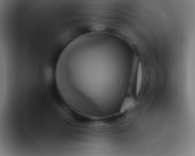 X0000094350598200711162031