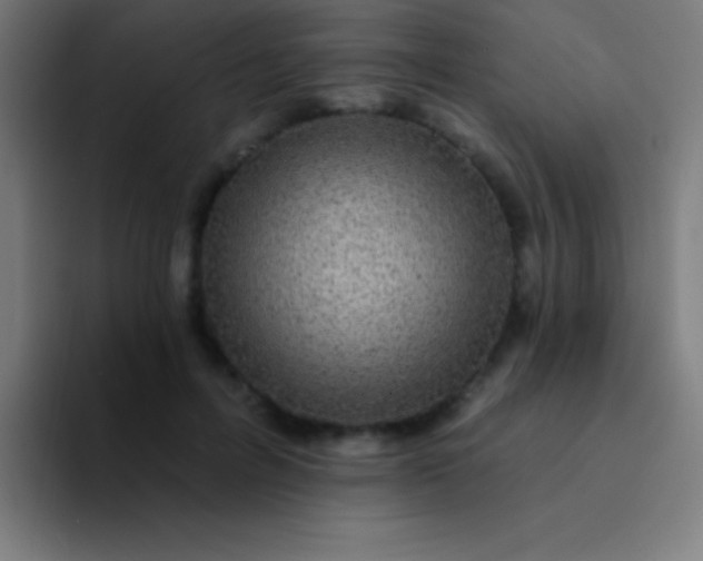 X0000094350600200711162031