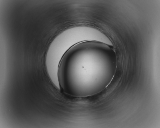 X0000094350601200711162031