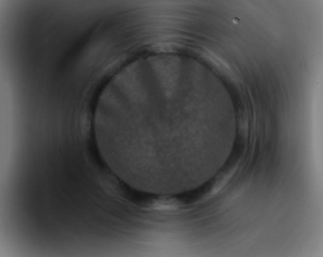 X0000094350603200711162031