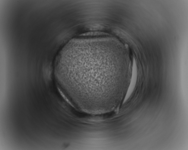 X0000094350604200711162031