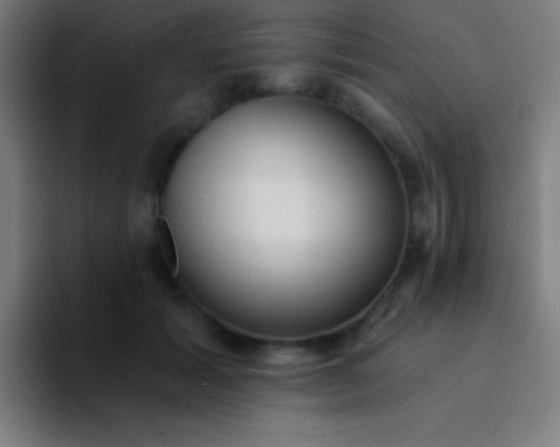 X0000094350605200711162031