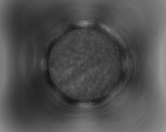 X0000094350606200711162031