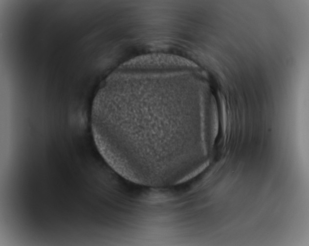 X0000094350608200711162031