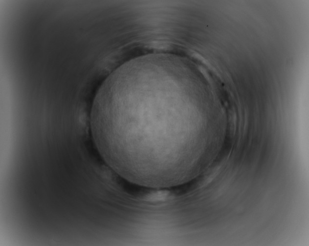 X0000094350609200711162031