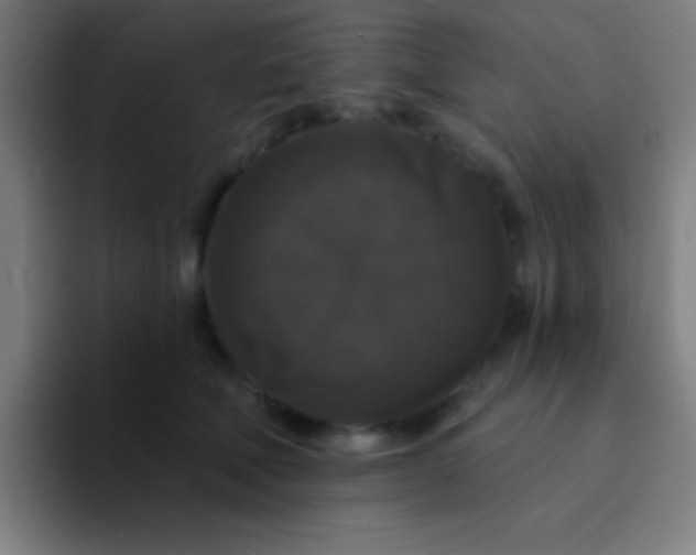 X0000094350610200711162031