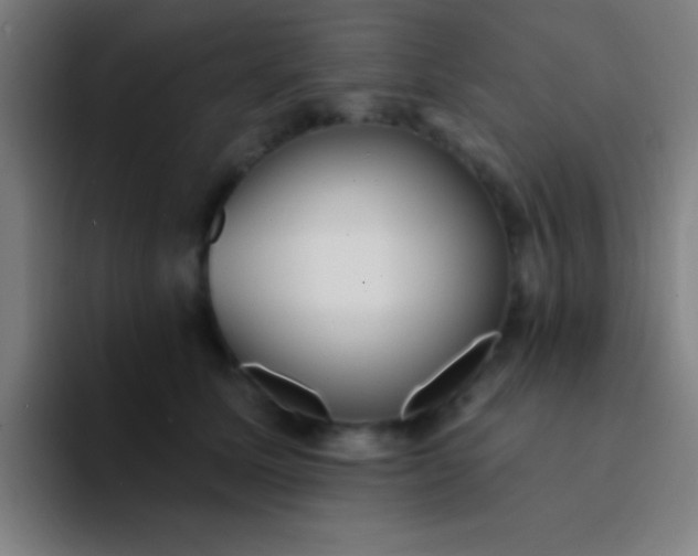 X0000094350611200711162031