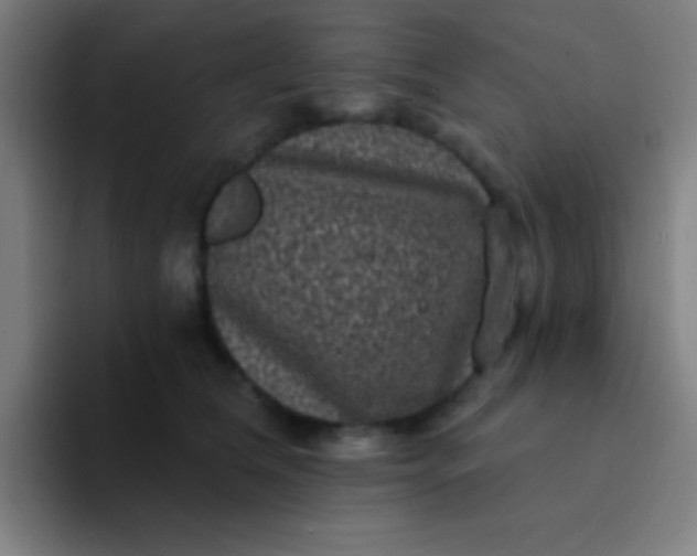 X0000094350612200711162031