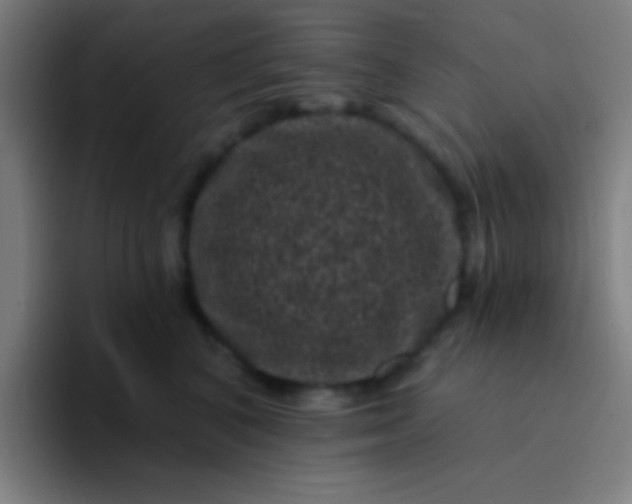 X0000094350616200711162031