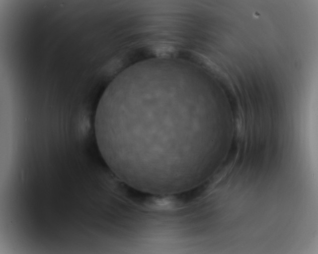 X0000094350618200711162031