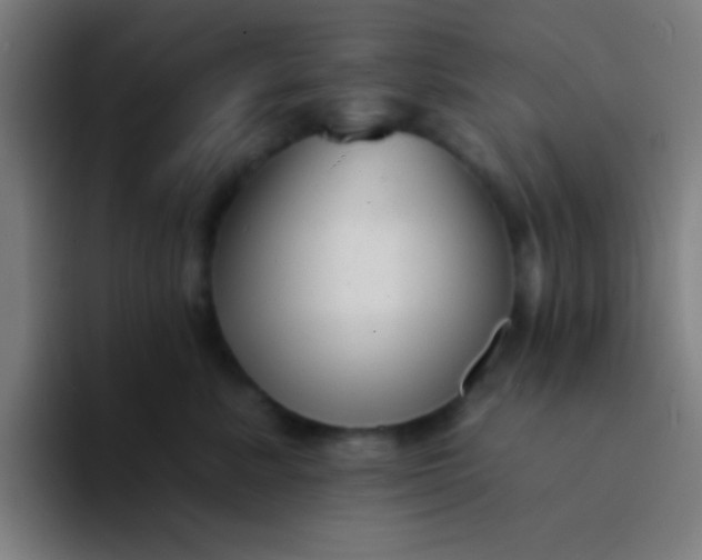 X0000094350619200711162031