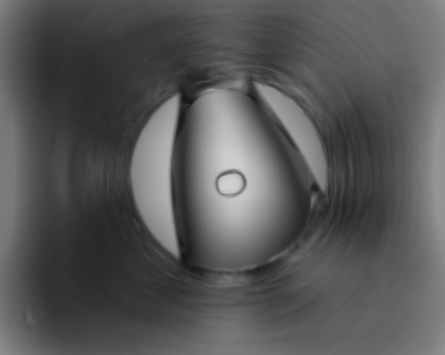 X0000094350621200711162031