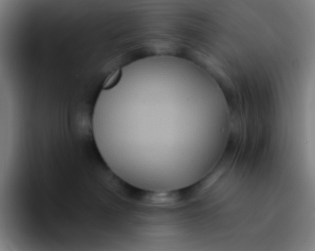 X0000094350622200711162031