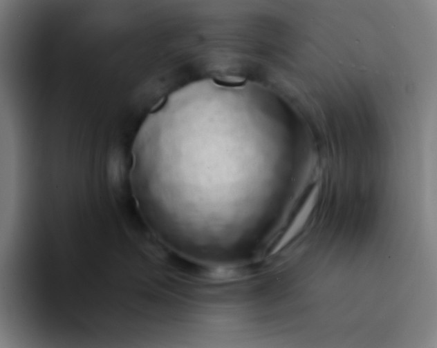 X0000094350623200711162031