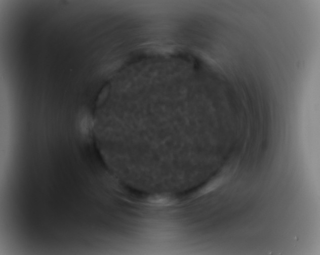 X0000094350624200711162031