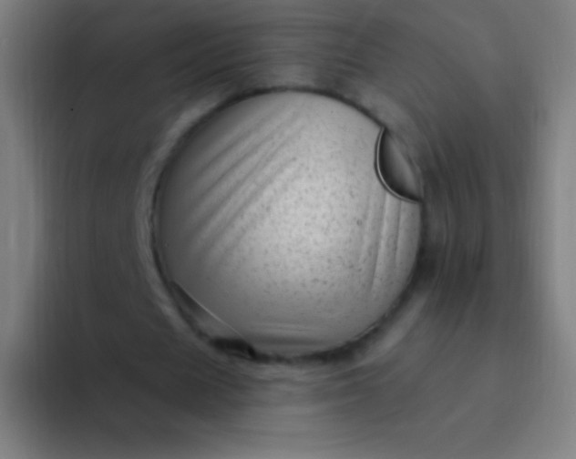 X0000094350625200711162030