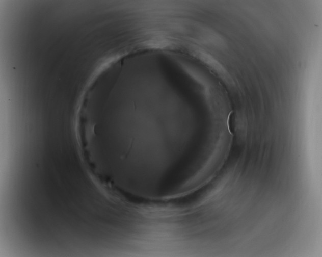 X0000094350626200711162030