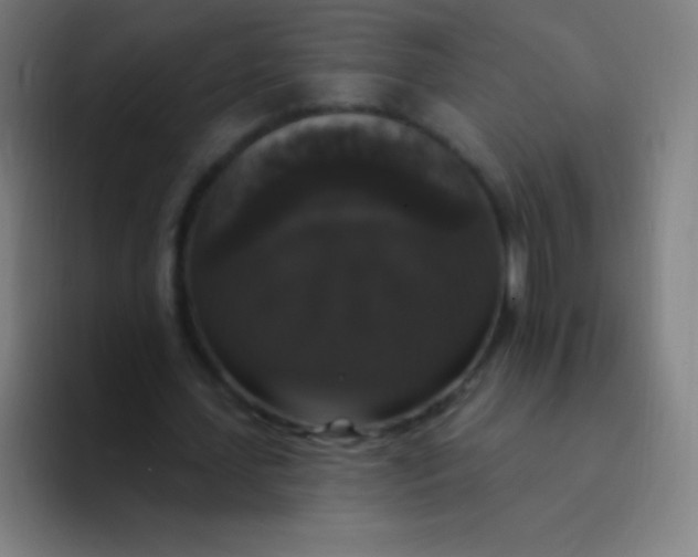 X0000094350627200711162030