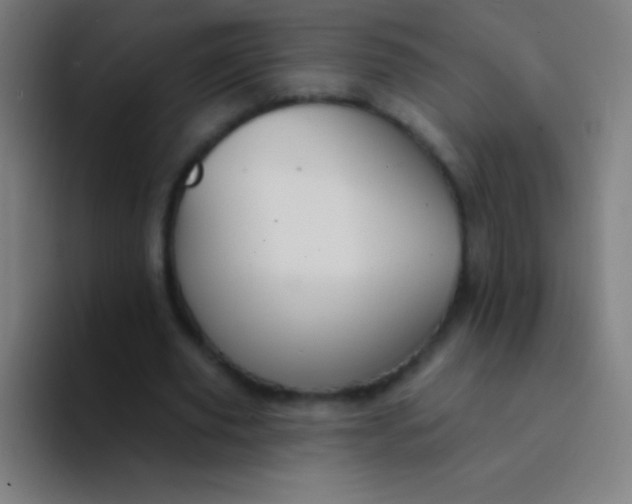 X0000094350629200711162030