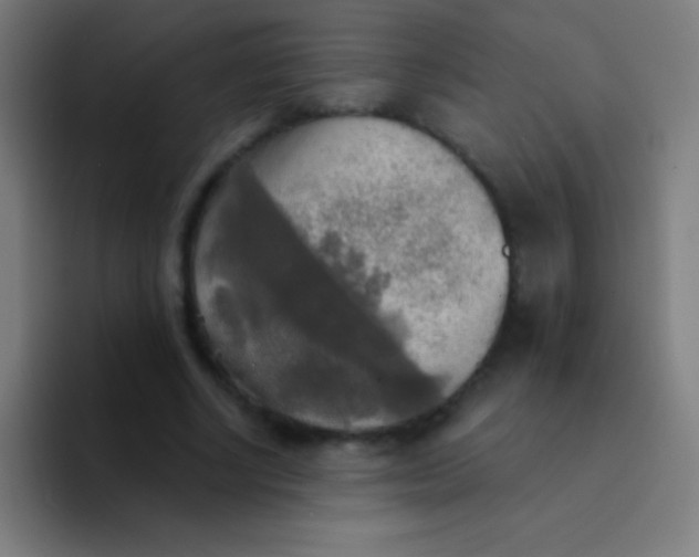 X0000094350634200711162030