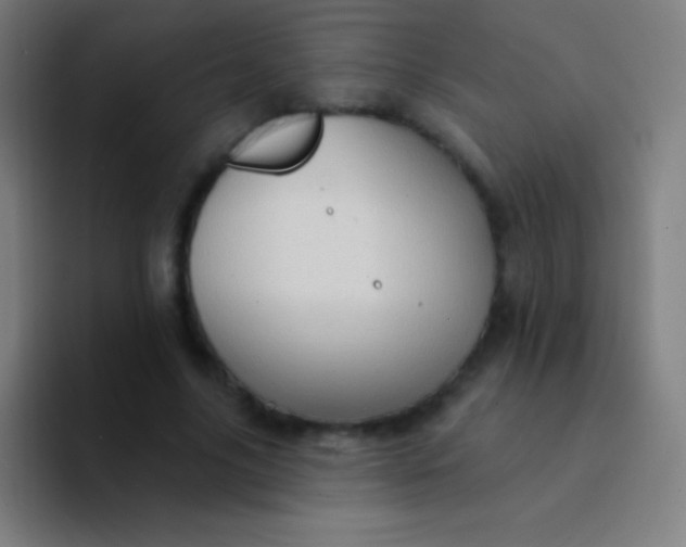 X0000094350635200711162030