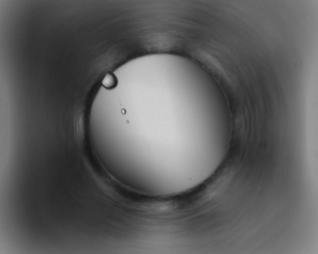 X0000094350638200711162030