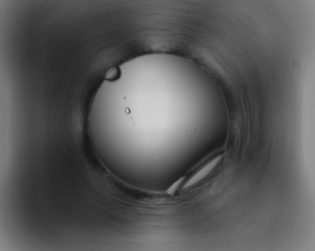 X0000094350639200711162030