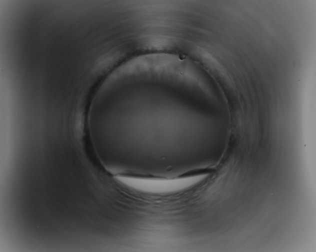 X0000094350640200711162031