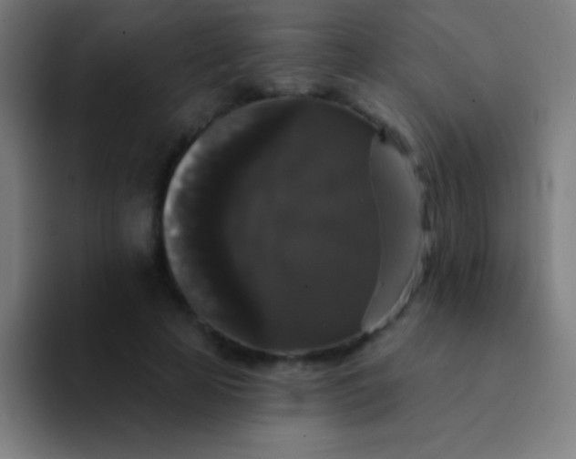 X0000094350641200711162031