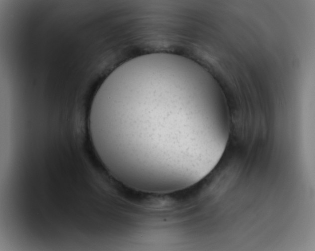 X0000094350642200711162031