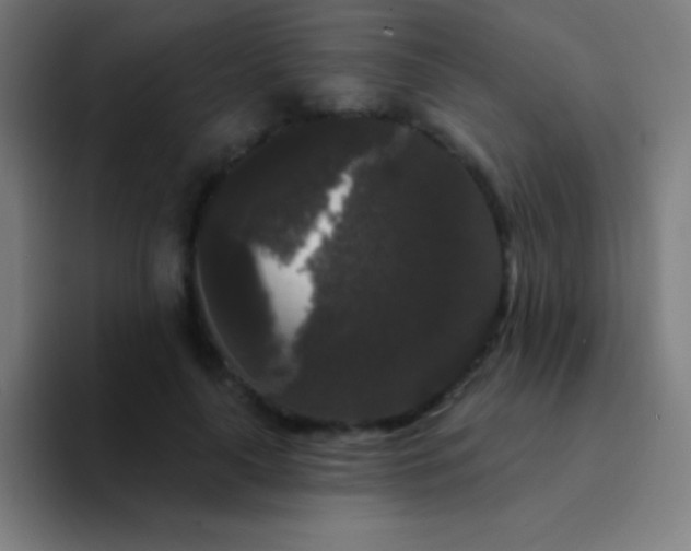 X0000094350643200711162031