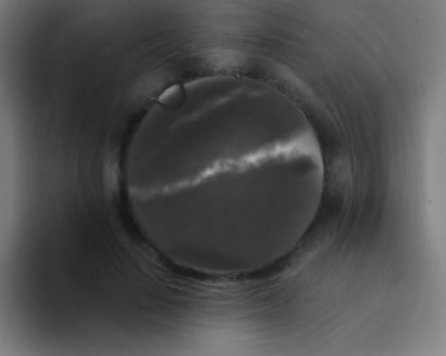 X0000094350644200711162031