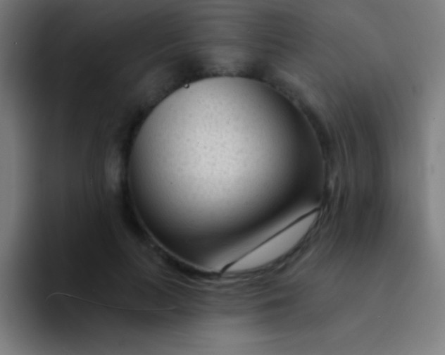 X0000094350647200711162031